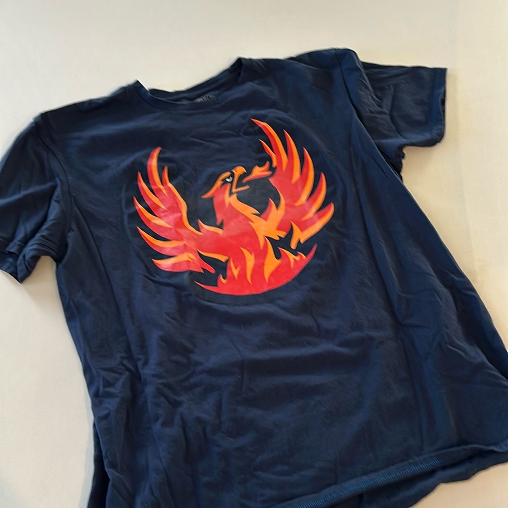 Phoenix Graphic Navy Blue T-Shirt